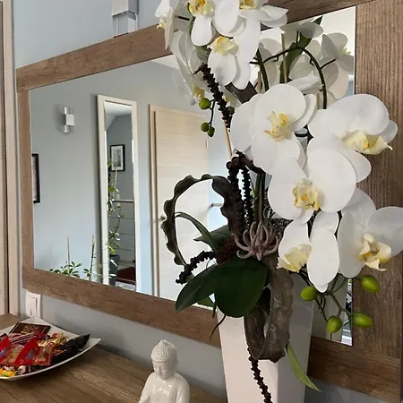 Lägenhet A&m Ferienwohnung Wohnen Wie Zuhause *
